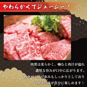 ふるさと納税 博多和牛焼肉用 500g [a0080] 株式会社Meat Plus ※配送不可：離島添田町 ふるさと納税 福岡県添田町