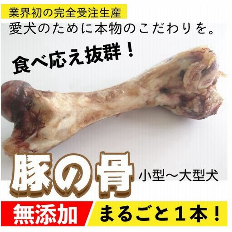 形状おまかせ 国産 無添加 乾燥 豚の骨 １本 豚げんこつ 犬 豚骨 小型犬 中型犬 大型犬 おやつ 硬い ゲンコツ ご褒美 ブタ ほね Dbp 通販 Lineポイント最大0 5 Get Lineショッピング