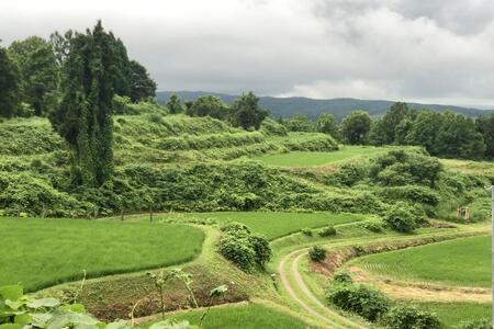 新潟県上越産／棚田こがねもち100％使用 杵つき切り餅 5袋（白餅 3袋・豆餅 2袋）セット