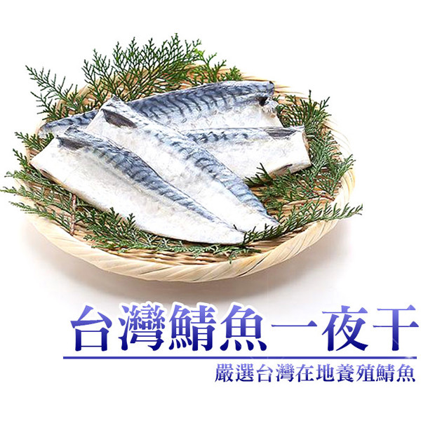 台灣嚴選薄鹽鯖魚一夜干165g/入