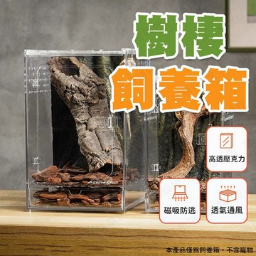 【🇹🇼高透壓克力！現貨免運 快速出貨】樹棲飼養箱 守宮飼養箱 昆蟲飼養箱 樹蛙飼養箱 守宮飼養盒 守宮箱 樹棲飼養盒