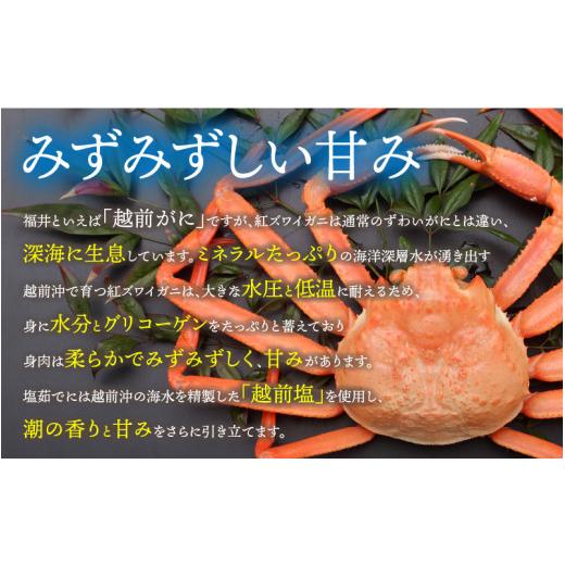 ふるさと納税 福井県 鯖江市 紅ずわいがに 3杯 合計1.4kg前後 [B-11011]