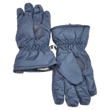 SNOW TRAVEL 雪之旅 AR ONE 英國TPU防水套 + 白鵝羽絨700fill防水保暖滑雪手套  藍色  M