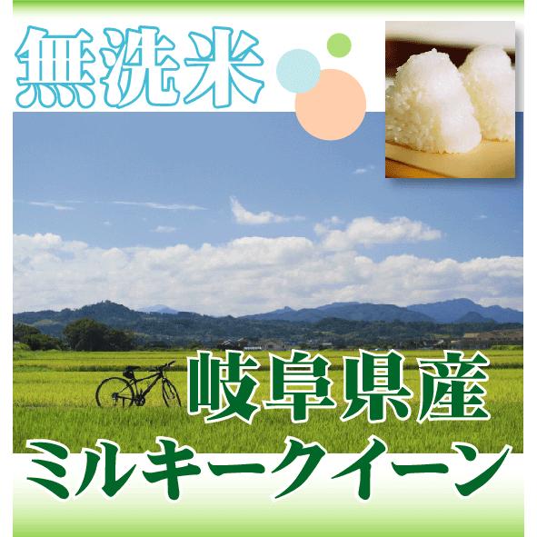 ポイント5倍 数量限定 新米 無洗米 5kg×2 ミルキークイーン 岐阜県産 10kg 令和5年産 送料無料（SL）