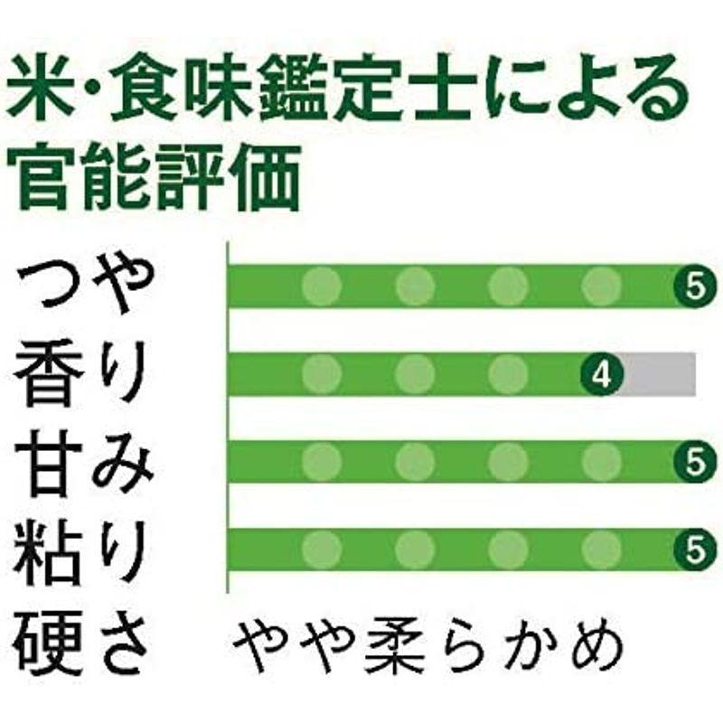 新潟 長岡産 コシヒカリ 玄米 10kg 令和3年産の 新潟 長岡産 コシヒカリ 玄米 10kg 令和3年産