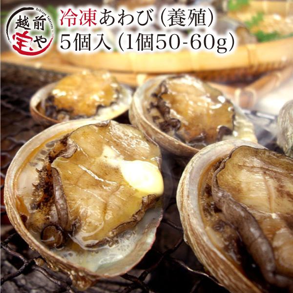 あわび アワビ 鮑 活 5個入り (1個50-60g) (養殖) プレゼント ギフト 刺身 海鮮丼 海鮮バーベキュー BBQ バーベキュー お取り寄せ ((冷凍))