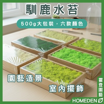 【隔日到貨】馴鹿水苔 500g  乾燥花 永生花 水苔 園藝造景 室內擺飾 乾燥花材 園藝用品【HOMEDEN霍登園藝】