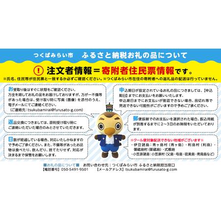 ふるさと納税 すぐに食べられる 玄米 ごはん （ 200g × 3パック ） お米と暮らし すぐに食べられる 玄米 ごはん 国.. 茨城県つくばみらい市