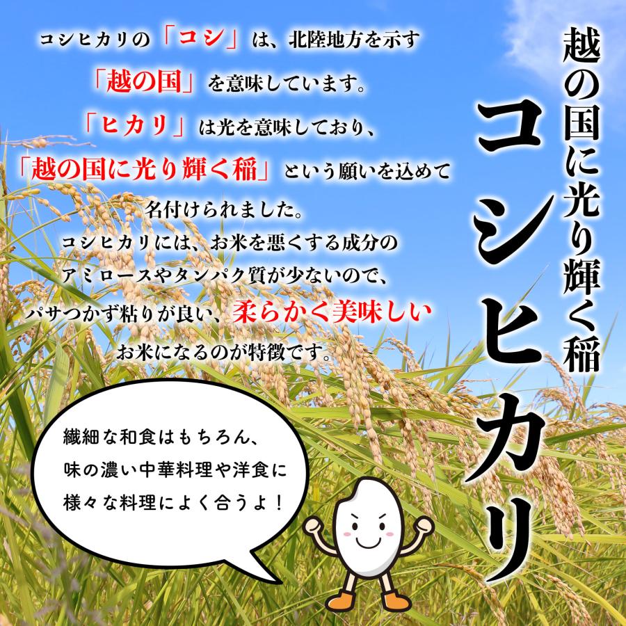 新米 米 お米 10kg 新潟県産 コシヒカリ 白米 10キロ 令和5年産 送料無料 5kgx2袋 こしひかり 精米