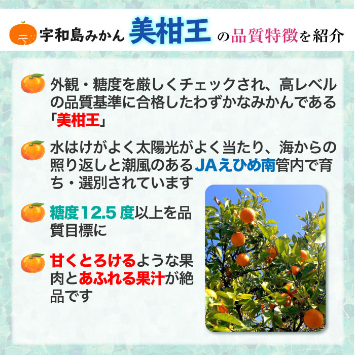 [予約 2023年11月1日-11月30日の納品] 美柑王 宇和島みかん Lサイズ 約5kg 愛媛県 うわじま 糖度12.5度 ミカン 産地箱 上級品 冬ギフト お歳暮 御歳暮