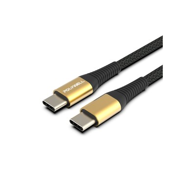 POLYWELL USB Type-C 100W 公對公 PD快充線 /金色 /2M