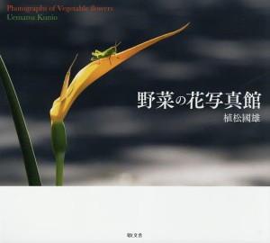 野菜の花写真館 植松國雄