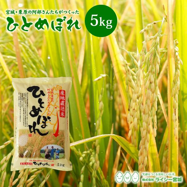 新米 ひとめぼれ 米 5kg 令和5年産 5kgx1袋 お米 宮城県産 白米 送料無料 精白米 産地直送