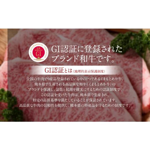 ふるさと納税 熊本県 八代市 あか牛極ビーフシチュー250g×2