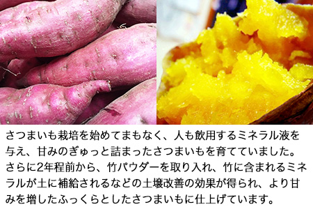 熊本県大津町産 タカハマ観光農園の紅はるか 約5kg(S~Lサイズの混合)《12月中旬-4月末頃より順次出荷》 さつまいも 芋 スイートポテト 干し芋にも