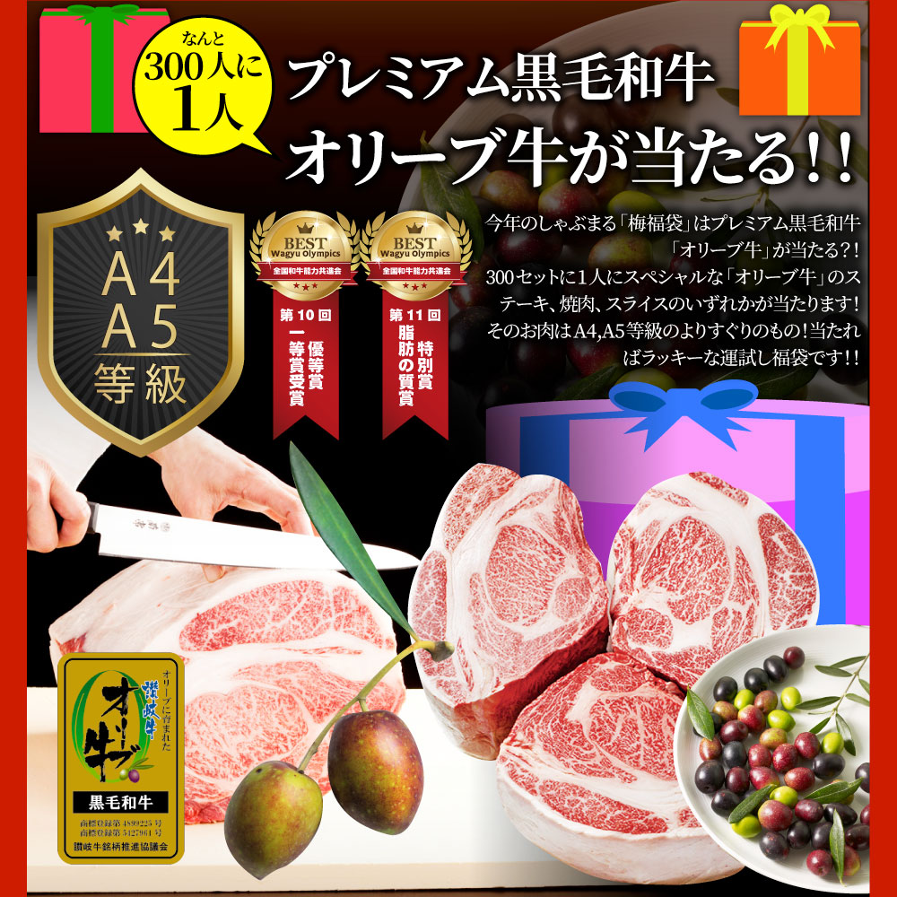 肉 福袋 肉の福袋 「梅福袋」牛肉 食品 メガ盛り 総重量2.5kg超 焼くだけ＆レンジで簡単調理！ランキング1位＆人気のお肉豪華セット