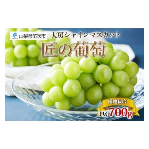ふるさと納税 山梨県 笛吹市 ＜2024年先行予約＞露地山梨県産 シャインマスカット 1房約700g程度 177-012