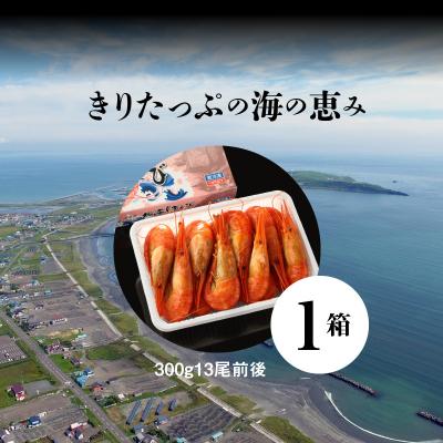 ふるさと納税 浜中町 北海しまえび大　1箱(300g13尾前後)