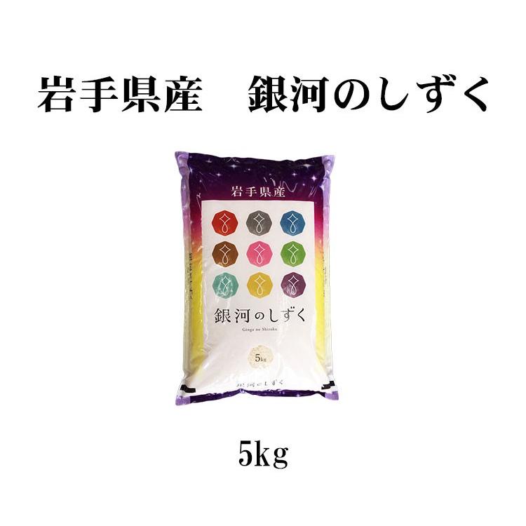 新米 お米 5kg 送料別 白米 銀河のしずく 岩手県産 令和5年産 1等米 お米 5キロ 食品