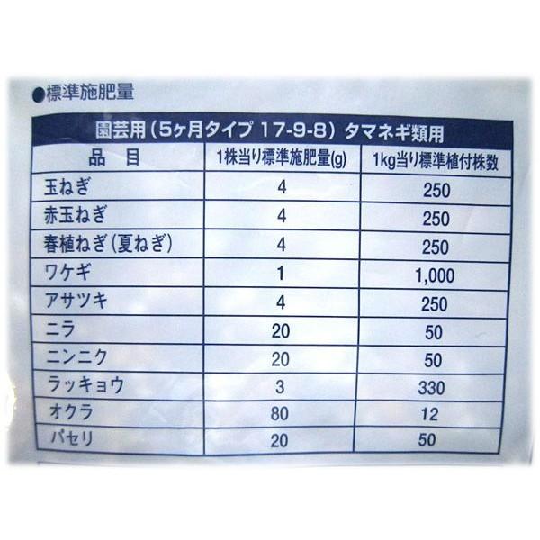 セール♪国産 青森県産　ニンニク種子 にんにく種子  福地ホワイト　Lサイズ　500g＋肥料1kg付き