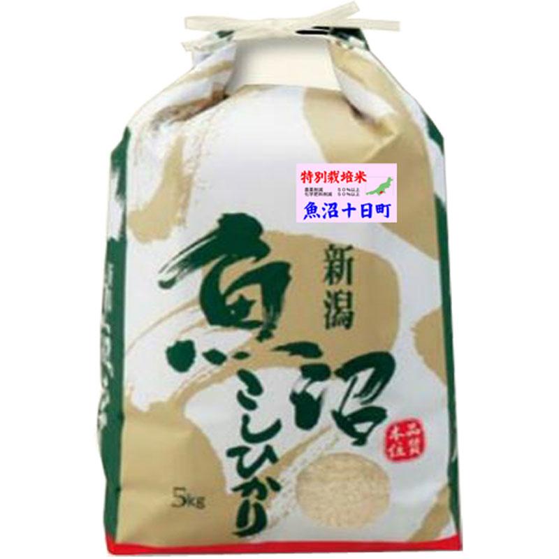 新米 令和5年産 特別栽培米 5kg 新潟県 魚沼産 コシヒカリ 玄米 白米 7分づき 5分づき 3分づき 出荷日精米  送料無料