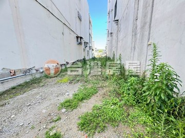 台中市沙鹿蛋黃區鎮南路黃金建地｜台中市沙鹿區興仁段