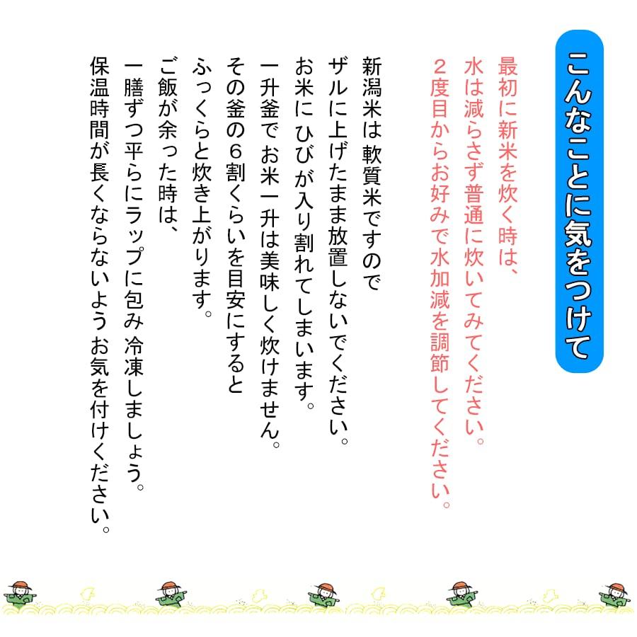 令和4年産 新潟県産こしいぶき 白米 5kg 新潟辰巳屋