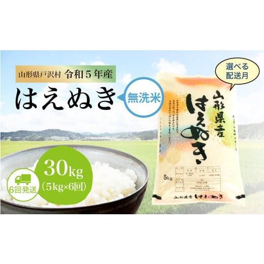 令和5年産 山形県戸沢村 厳選 はえぬき   30kg 定期便（5kg×1カ月ごと6回お届け） ＜配送時期指定可＞