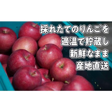 ふるさと納税 8〜12月発送旬のリンゴ詰め合わせ 約5kg 糖度13度以上 青森県弘前市