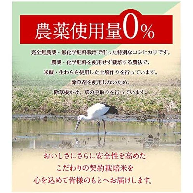 5分つき 無農薬 コシヒカリ 「特選」 2kg 新米 令和5年福井県産 特別栽培米 無農薬 無化学肥料栽培