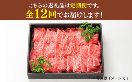  特選 壱岐牛 切り落とし （450g）《壱岐市》 肉 和牛 牛肉 黒毛和牛 切落し 小間切れ 焼肉 赤身 [JDL027] 120000 120000円 12万円