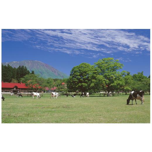 ふるさと納税 岩手県 雫石町 小岩井農場 厳選素材カレー バラエティセット ／ カレー カレーライス レトルトカレー