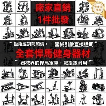 【商用健身全套】力量訓練器械 深蹲架 高位下拉 夾胸器 肩背訓練 多功能一體 專業健身房 力量區必備