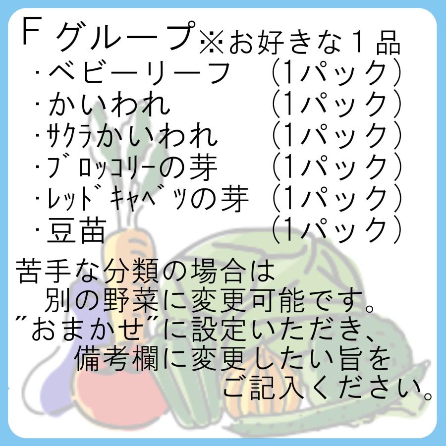 中身を選べる野菜詰め合わせ 10品目入 中身のおまかせも可能