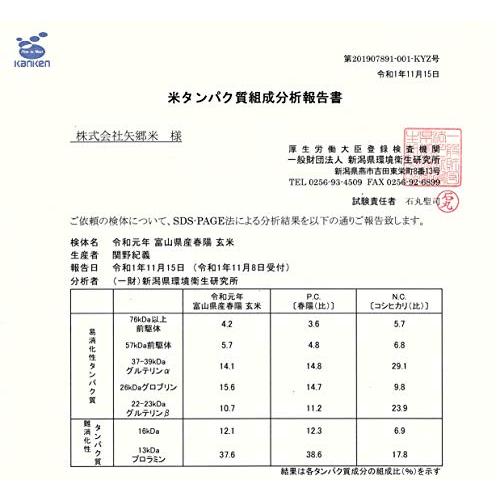 富山県産「低たんぱく米」「低グルテリン米」春陽（令和4年産）10kg