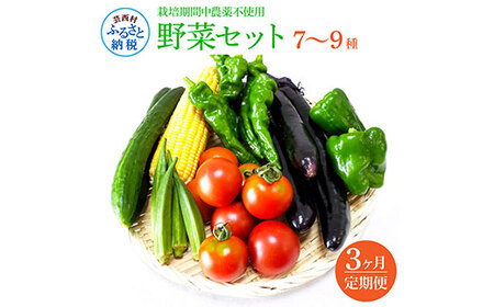 野菜セット（7‐9種類） 《3カ月定期便》 栽培期間中農薬不使用！ 季節の野菜 定期コース 定期 無農薬 野菜 やさい 新鮮 自然 健康 セット 詰め合わせ 冷蔵 美味しい おいしい 食べ物 食材 秋 旬の味覚 ご当地 お取り寄せ 芸西村 15000円 故郷納税 返礼品