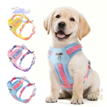 🐕寵物胸背 多巴胺狗狗胸背 中小型狗狗 戶外 狗胸背帶 漸變印花 寵物牽引繩 舒適 透氣