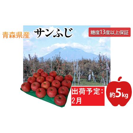 ふるさと納税 2月  サンふじりんご「特A」約5kg 糖度13度以上(14〜20玉程度）  青森県平川市