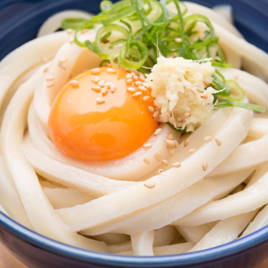 さぬき麺心 麺屋どんまい 讃岐うどん 極太麺 300g