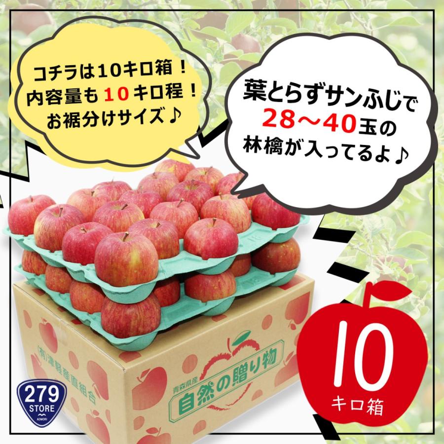 只今発送中！産地直送♪ 糖度13度以上 葉とらずサンふじ A品 10キロ箱 28〜40玉 内容量 約10キロ 津軽産直組合直送 津軽りんご 青森県産