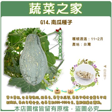 【蔬菜之家】G14.南瓜種子(共有2種包裝可選)