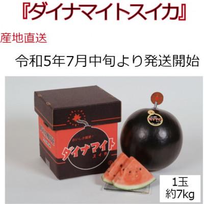 ふるさと納税 月形町 北海道月形町産　ダイナマイトスイカ　約7kg(1玉)秀品