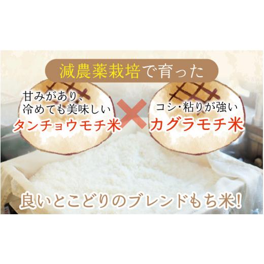 ふるさと納税 福井県 大野市 杵つきもち「白餅＆まぜ餅」計16個 きな粉付き〜大野のお米と名水でつきあげた手造りのお餅〜 保存料 添加物 不使用