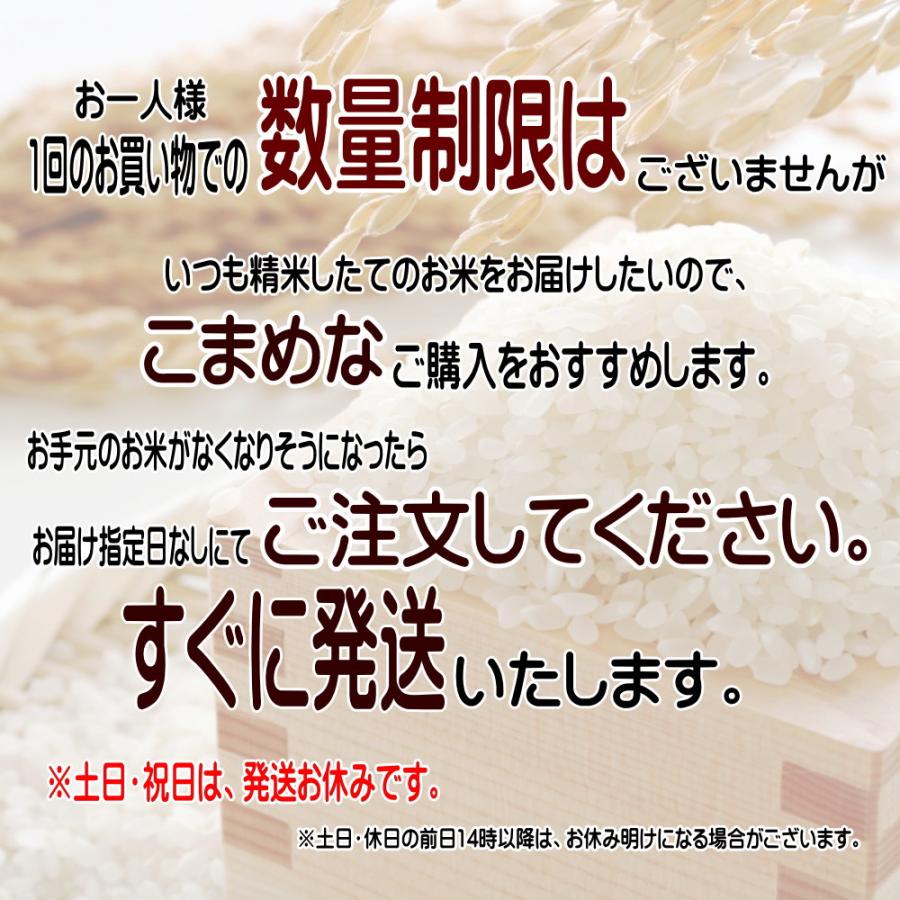 米 新米 令和5年 米 お米 2kg×3袋 ササニシキ 白米 岩手県産