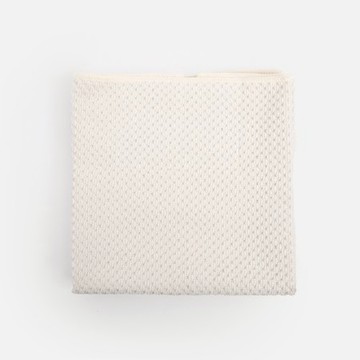 REAL RPET抹布40x40cmx3入 白