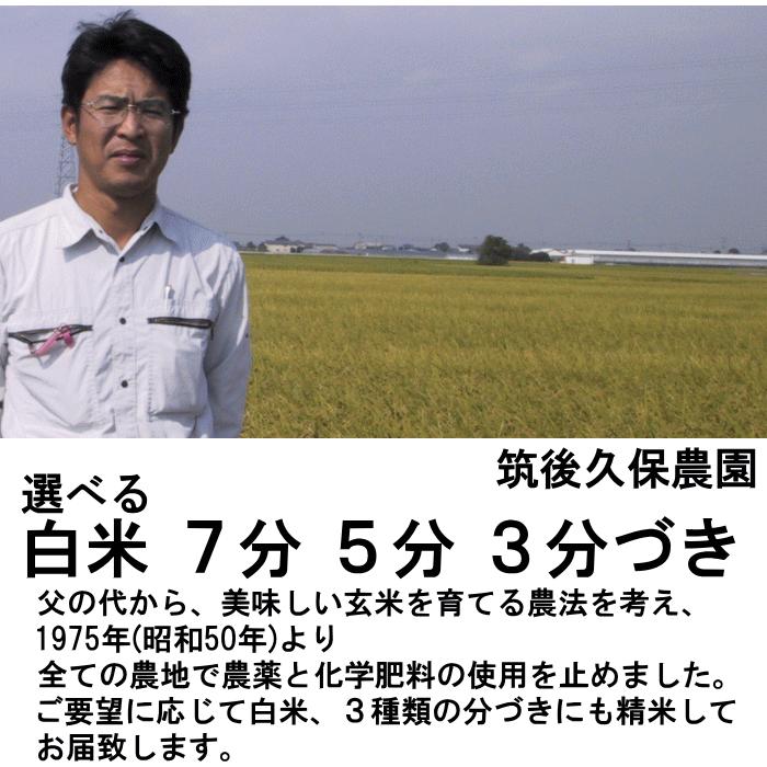 無農薬 無肥料 栽培米 5Kg 選べる 白米 分づき 福岡県産 令和5年度産 元気つくし 筑後久保農園