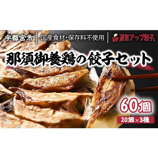 ふるさと納税 栃木県 宇都宮市 宇都宮餃子　鶏餃子　3種類味比べ(合計60個)保存料不使用