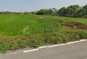 楊梅楊富段962特農｜桃園市楊梅區楊富段