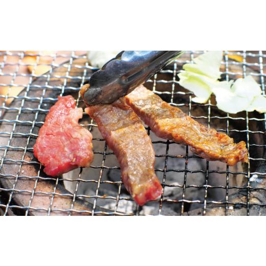 ふるさと納税 三重県 紀宝町 極上紀和牛タレ仕込味付焼肉 300g×2パック 合計600g ／ 肉 牛肉 牛 小分け 味 焼き肉 焼肉