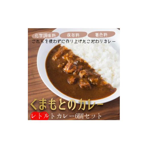 ふるさと納税 熊本県 甲佐町 くまもとのカレー2種セット